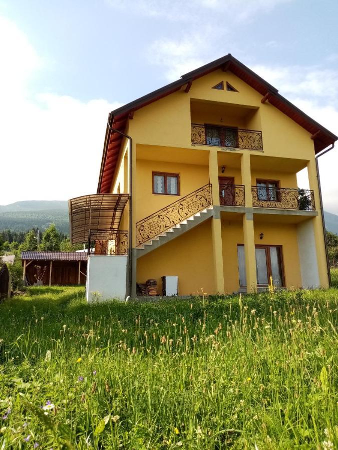 ホテル Casa Dana Borşa エクステリア 写真