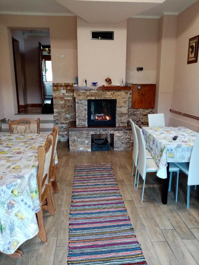 ホテル Casa Dana Borşa エクステリア 写真