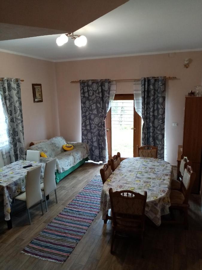ホテル Casa Dana Borşa エクステリア 写真