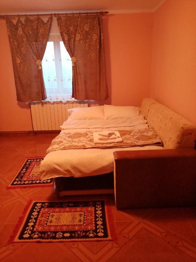 ホテル Casa Dana Borşa エクステリア 写真