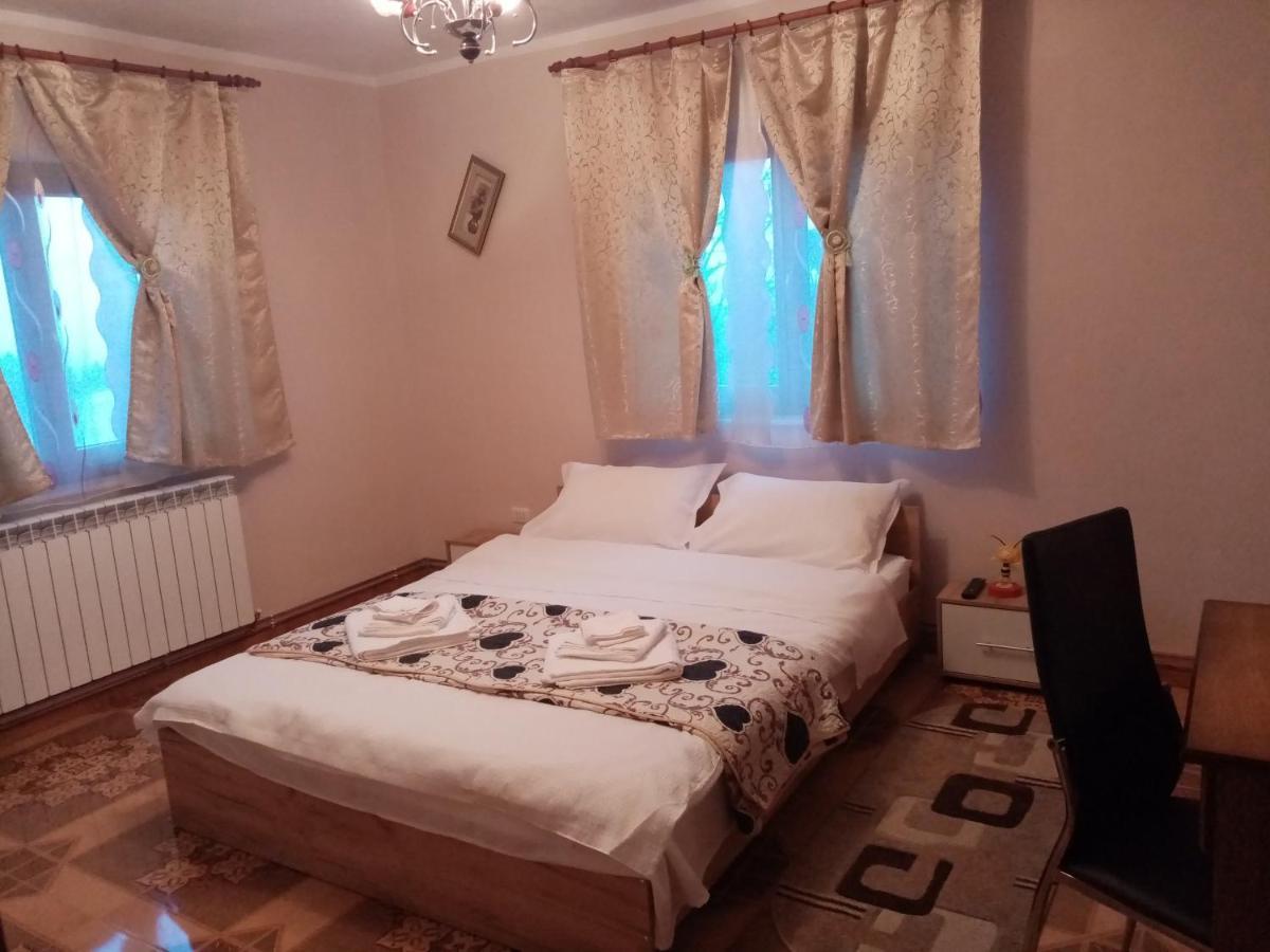 ホテル Casa Dana Borşa エクステリア 写真