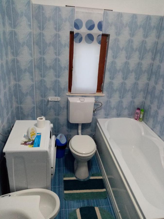 ホテル Casa Dana Borşa エクステリア 写真