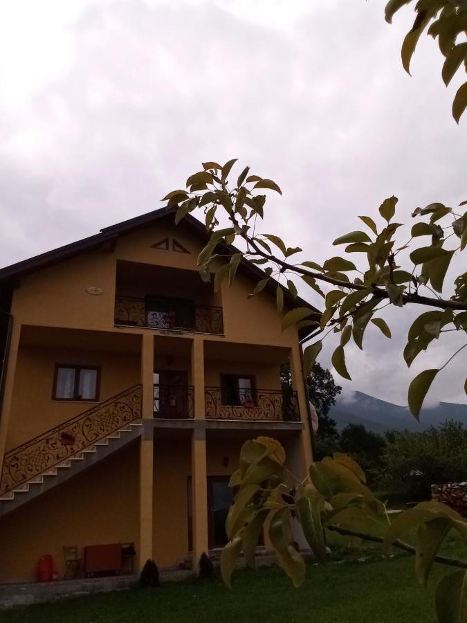 ホテル Casa Dana Borşa エクステリア 写真
