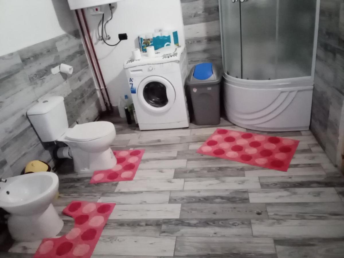ホテル Casa Dana Borşa エクステリア 写真