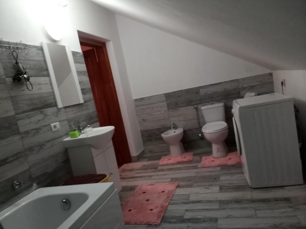 ホテル Casa Dana Borşa エクステリア 写真