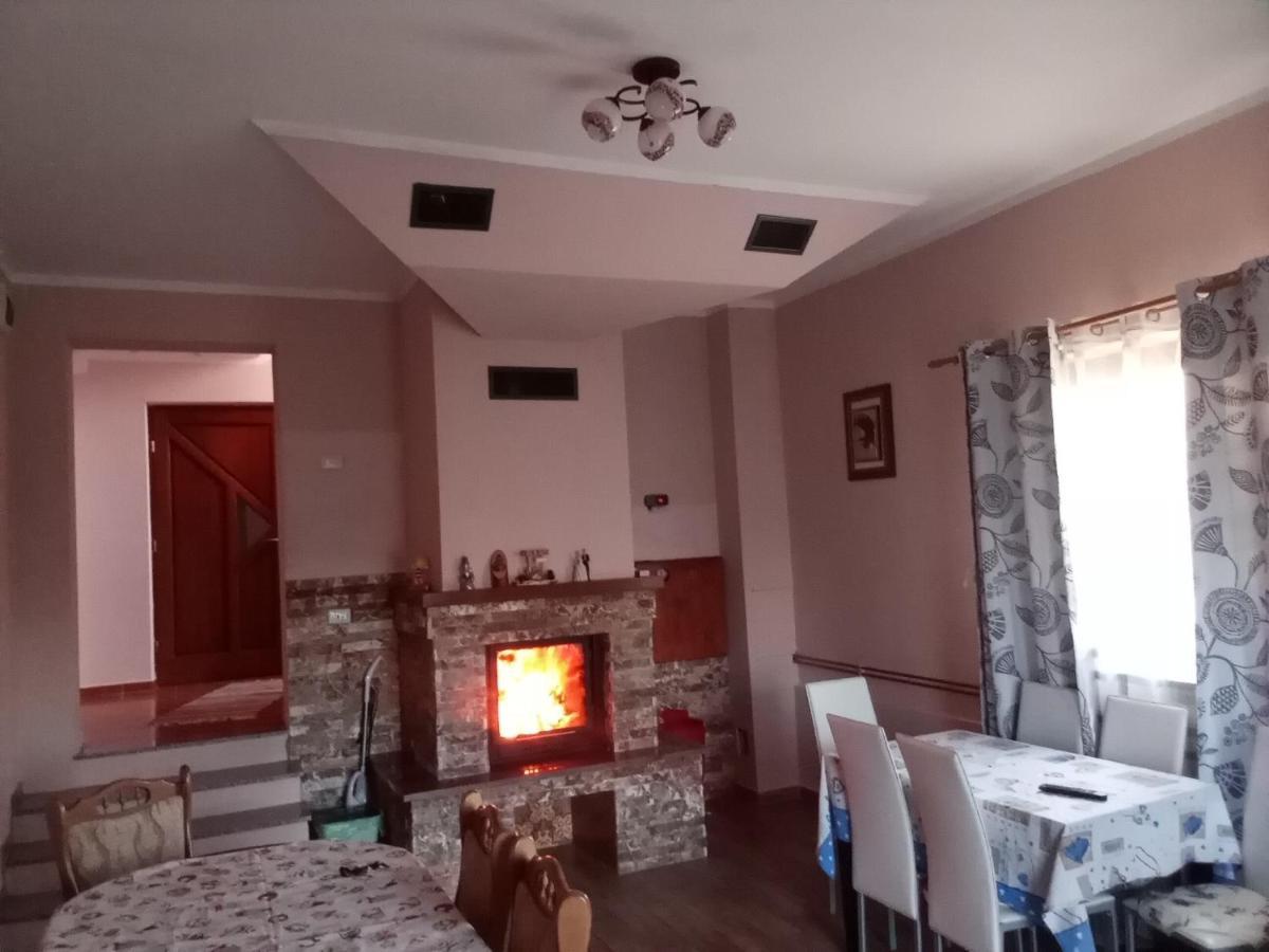 ホテル Casa Dana Borşa エクステリア 写真